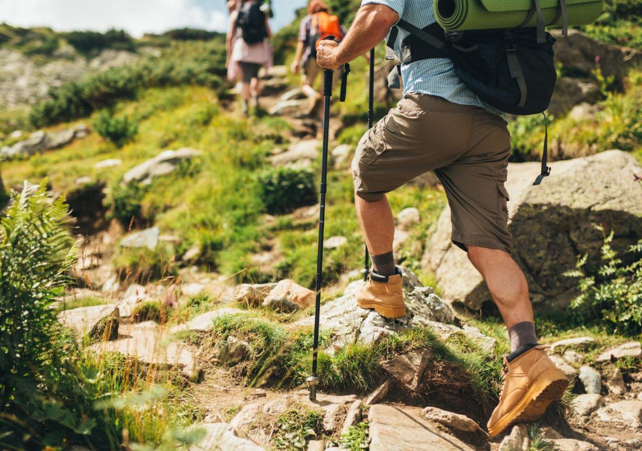 Greenhouse Living Apartment Fagus Mit Terrasse Und Feuerstelle - 6 Minuten Nach Winterberg - 4 Minuten Zur Ruhrquelle - Wandern - Mountainbike Fahren - Reisen Mit Hund & Natur Geniessen Medebach Eksteriør bilde